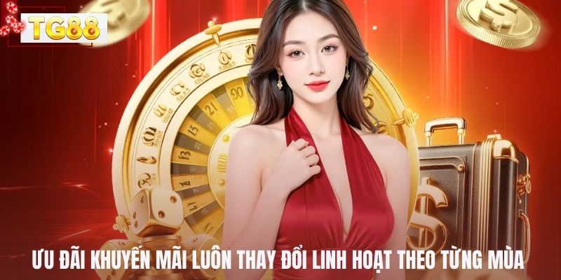 Ưu đãi khuyến mãi luôn thay đổi linh hoạt theo từng mùa